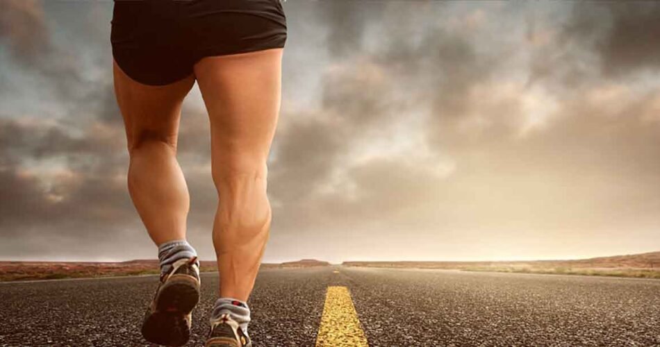 erlinswiss.wpbromo.com